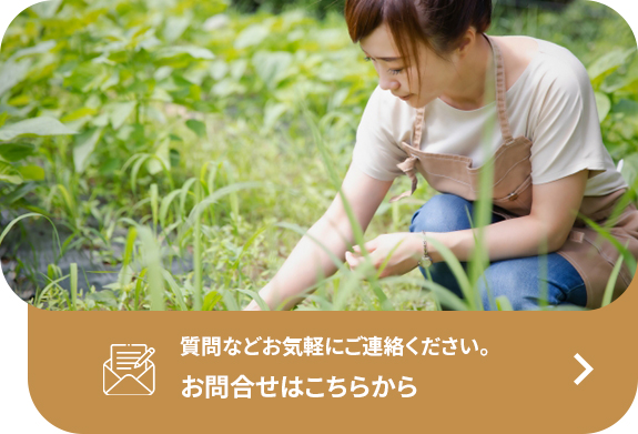 お問合せはこちらから